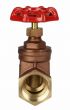 Brass Gate Valve 1-1/4" NPT thread 200#