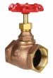 Globe Valve 1-1/2" NPT thread 200# w/Rubber Seat