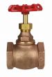 Globe Valve 1-1/2" NPT thread 200# w/Rubber Seat