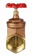 Brass Gate Valve 3" NPT thread 200#