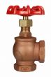 Angle Valve 1" NPT thread 200# w/Rubber Seat