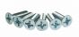 ARGCO 300 Rear Screws 12-24 x 3/4"  (6 Pack))