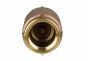 Inline Check Valve 1" NPT thread 200PSI