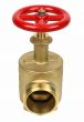 Fire Hose Angle Valve 2-1/2" F (NPT) x M (NST)