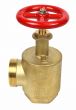 Fire Hose Angle Valve 2-1/2" F (NPT) x M (NST)