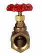 Globe Valve 1" NPT thread 200# w/Rubber Seat