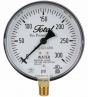 Fire Sprinkler Gauge Personalized 300# Water <UL/FM> USA