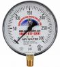 Fire Sprinkler Gauge Personalized 300# AIR/WATER Plastic Back <UL/FM>