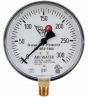 Fire Sprinkler Gauge Personalized 300# AIR/WATER Plastic Back <UL/FM>