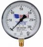 Fire Sprinkler Gauge Personalized 300# AIR/WATER Plastic Back <UL/FM>