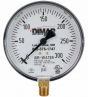 Fire Sprinkler Gauge Personalized 300# AIR/WATER Plastic Back <UL/FM>