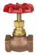 Globe Valve  1/2" NPT thread 200# w/Rubber Seat