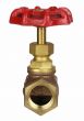 Globe Valve  1/2" NPT thread 200# w/Rubber Seat