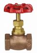 Globe Valve  1/2" NPT thread 200# w/Rubber Seat