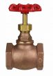 Globe Valve 1-1/4" NPT thread 200# w/Rubber Seat