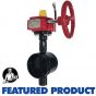 Fire Protection Butterfly Valve Groove 4" 300# UL,FM